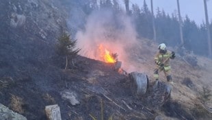 60 Lungauer Feuerwehrleute waren im Einsatz. (Bild: Feuerwehr Lungau)