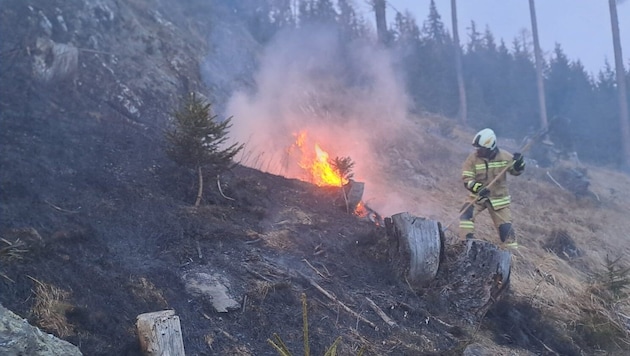 60 Lungauer Feuerwehrleute waren im Einsatz. (Bild: Feuerwehr Lungau)