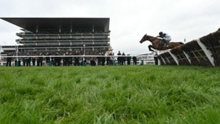 In Cheltenham spielten sich schreckliche Szenen ab. (Bild: AFP or licensors)