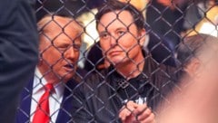 Der designierte US-Präsident Donald Trump und Tesla- und SpaceX-CEO Elon Musk schauen beim UFC-Kampfsport-Spektakel in New York dabei zu, wie sich Männer in einem Käfig prügeln. (Bild: APA/AFP/Kena Betancur)