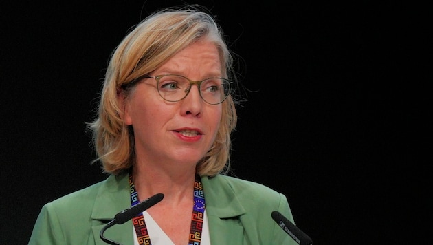 Environment Minister Leonore Gewessler gave a speech at the UN World Climate Conference in Baku on Tuesday. (Bild: AP/Peter Dejong)