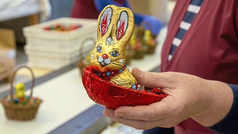 Die Schoko-Osterhasen aus Kittsee waren auch in den Regalen heimischer Supermärkte zu finden. (Bild: Charlotte Titz)