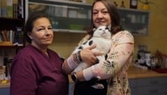 Tanja Grundner-Höll (r.) und Elisabeth Müller kümmern sich um „Konstantin“. (Bild: Tierhilfe FEliciTA e.V.)