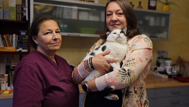 Tanja Grundner-Höll (right) and Elisabeth Müller look after "Konstantin". (Bild: Tierhilfe FEliciTA e.V.)