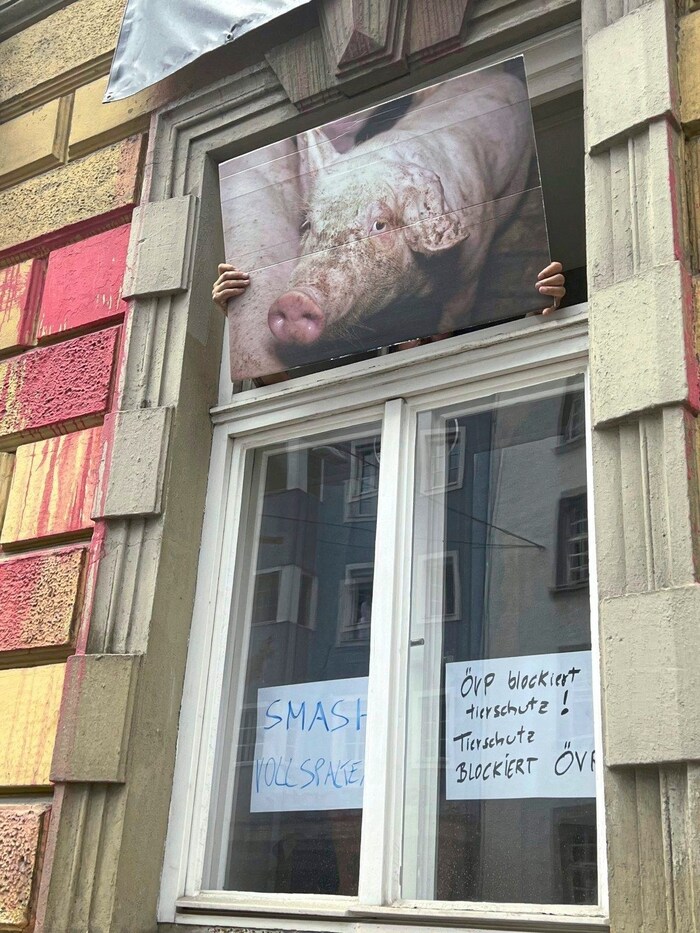 Tierschützer hielten auch ein Plakat aus dem Fenster der Parteizentrale und befestigten dort ...