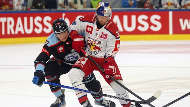 Genoway (re.) und Eisbullen wollen Pelicans Flügel stutzen. (Bild: Tröster Andreas/Kronen Zeitung)