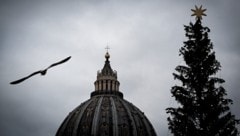 Der Weihnachtsbaum am Petersplatz in Rom im vergangenen Jahr  (Bild: AFP )