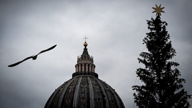 Der Weihnachtsbaum am Petersplatz in Rom im vergangenen Jahr  (Bild: AFP )