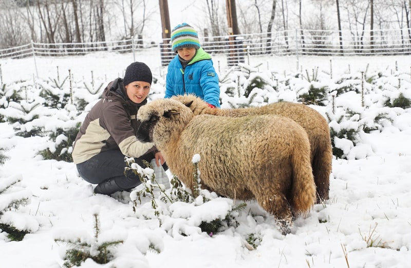 Alles Natur(wald) bei Züchterin Marianne Pabinger aus Salzburg... (Bild: Neumayr Franz/www.neumayr.cc)