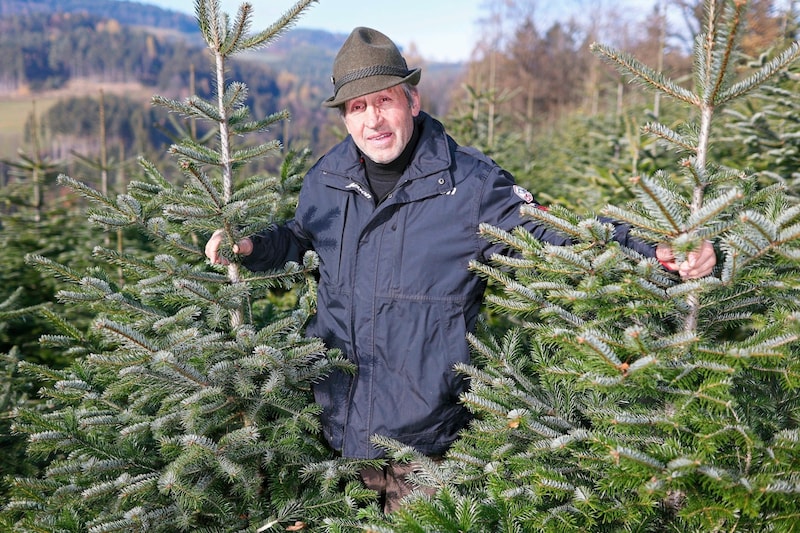 ...und Biobauer Hans Reisenbauer aus Niederösterreich. (Bild: Holl Reinhard/Reinhard HOLL)