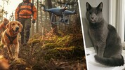 Lange intensive Suche, kein Erfolg: Nun schnurrt Kasimir wieder im trauten Heim.