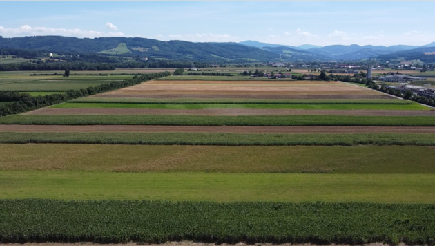 17 hectares of farmland are to be sealed in St. Pölten as part of the planned logistics center (Bild: Drexler)