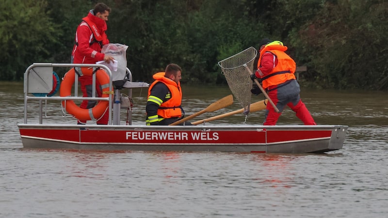 Mithilfe von Fangnetzen wurden die Euro-Scheine aus dem Wasser geborgen.  (Bild: Matthias Lauber/laumat.at/laumat)