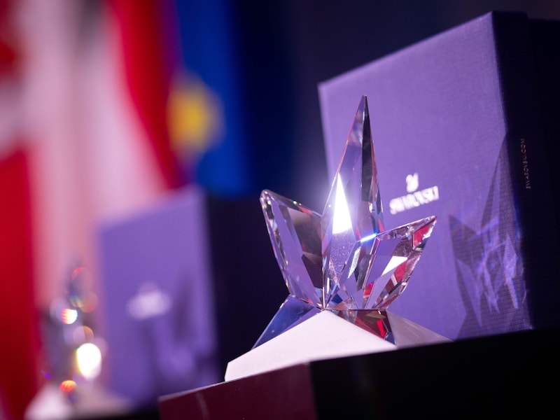 The award, which was presented in Vienna for Tyroleans. (Bild: Land Tirol/Lechner)