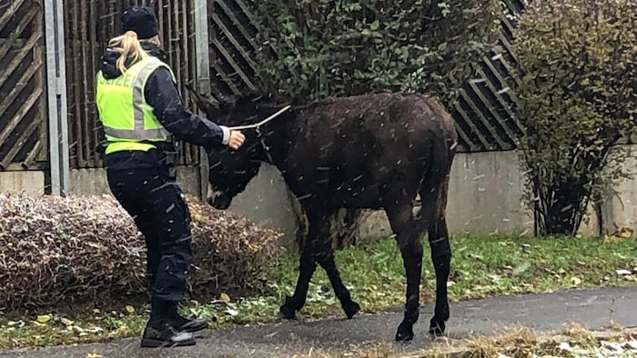 Policewoman with one of the runaways
