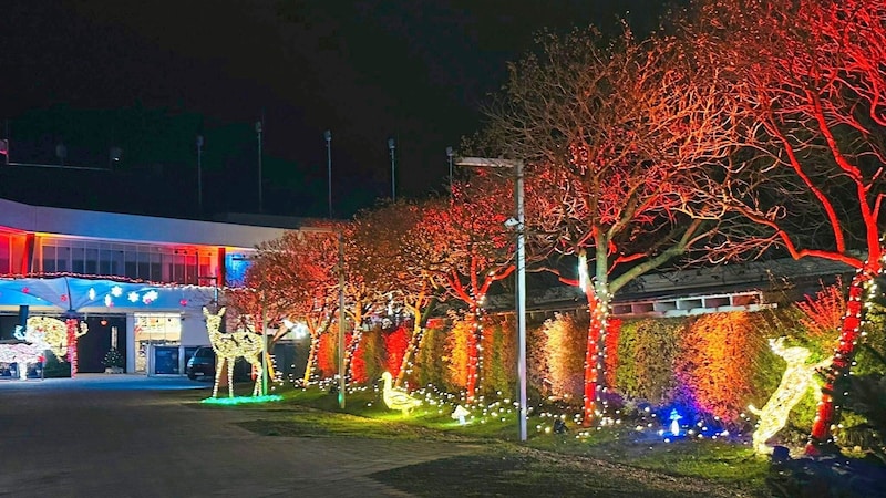 Erster Lichter-Check hat einwandfrei geklappt. Gäste erwartet eine zauberhafte Kulisse. (Bild: Burgenland Tourismus)