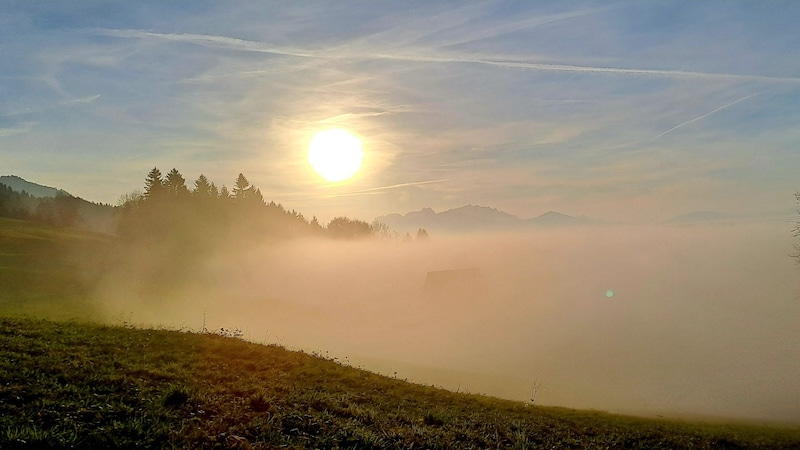 Blick Richtung Hohenems. (Bild: Bergauer Rubina)