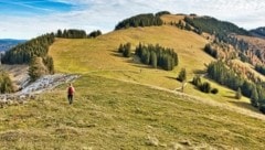 So schön ist die steirische Almenlandschaft! (Bild: Weges )