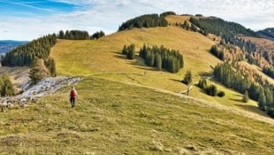 So schön ist die steirische Almenlandschaft! (Bild: Weges )