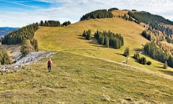 So schön ist die steirische Almenlandschaft!