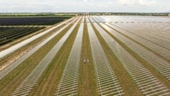 Sechs Agrar-Solarparks werden bis 2026 im Bezirk Neusiedl am See errichtet. (Bild: PÜSPÖK/Alex Lang Photography)