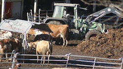 Immer wieder gab es in der Vergangenheit Kontrollen vor Ort. Die Prüfer dokumentierten die Missstände. Im November verweigerte der Landwirt den Kontrolleuren den Zugang zum Hof. (Bild: zVg)