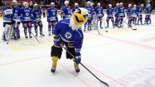 Damals noch im vollen Kostüm, jetzt fehlt das VSV-Maskottchen „Villi“ in der Stadthalle. (Bild: Kuess)