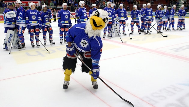 Damals noch im vollen Kostüm, jetzt fehlt das VSV-Maskottchen „Villi“ in der Stadthalle. (Bild: Kuess)