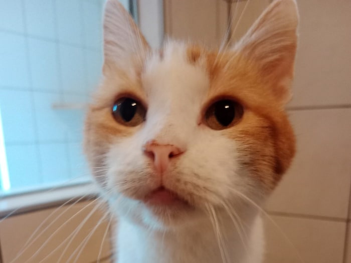 Sam