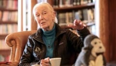 Jane Goodall beim „Krone“-Interview in Salzburg (Bild: Tröster Andreas)