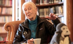 Jane Goodall beim „Krone“-Interview in Salzburg