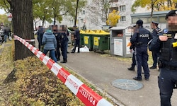 Die Mutter steht unter dringendem Tatverdacht, ihr zehn Tage altes Baby in einen Abfallcontainer ...