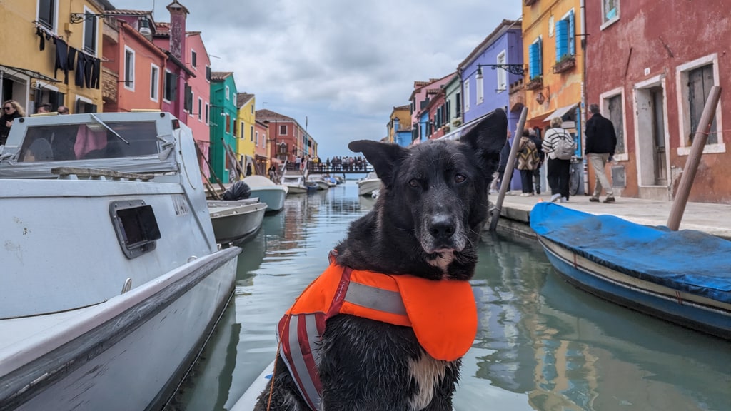 Mit dem Standup-Paddleboard durch Venedig. (Bild: Francie Vogel)