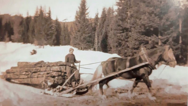 Holzführen auf der Flattnitz im Winter 1954: Pferde waren für die Arbeit auf Bauernhöfen, für Soldaten und Edelleute immer wichtig. Im Winter, wenn sie weniger bewegt wurden, war der Kreuzschlag gefürchtet, weshalb der Stefaniritt zur Vorbeugung und der Segen so wichtig waren. (Bild: Zeitreise durch Metnitz Bei uns Dahoam Inge und Franz Auer Hager Verlag)