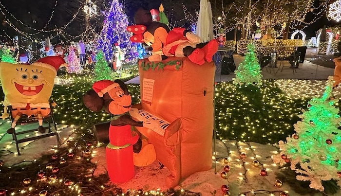 Wie jedes Jahr, werden mehr als 2000 Menschen kommen, um das vorweihnachtliche Spektakel zu ...