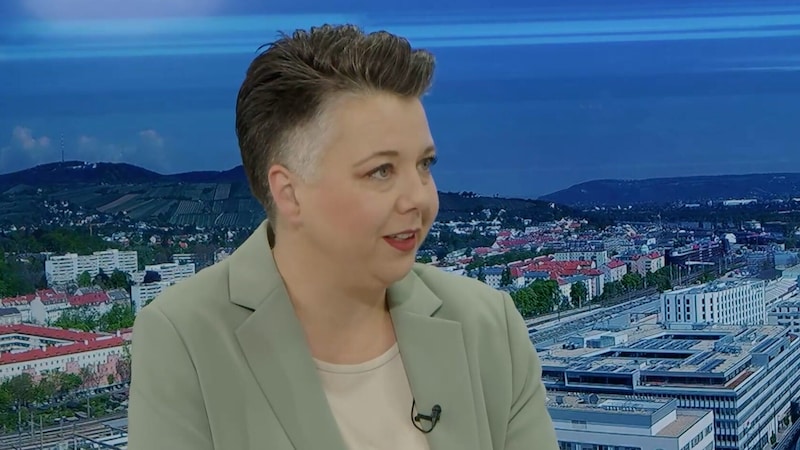 Die Grüne Generalsekretärin Olga Voglauer im krone.tv-Interview (Bild: krone.tv )