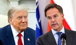 Trump und Rutte werden künftig öfter sprechen.