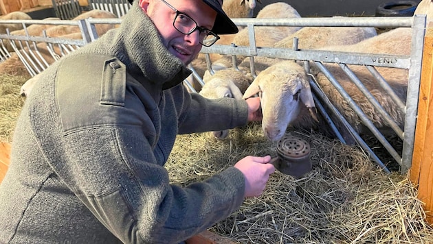 Auf Bauernhöfen selbstverständlich: Geräuchert wird auch bei den Tieren im Stall. (Bild: Evelyn Hronek)