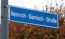 1963 wurde die kleine Straße in Salzburg-Parsch nach Heinrich Damisch benannt.