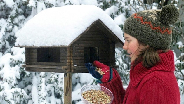 Selbst gebaute Vogelhäuschen sind hübsch anzusehen, aber sie brauchen besondere Pflege.  (Bild: Rojsek-Wiedergut Uta/KRONEN ZEITUNG)