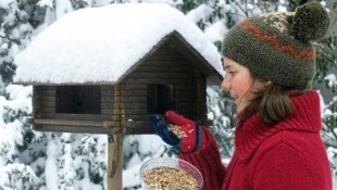 Selbst gebaute Vogelhäuschen sind hübsch anzusehen, aber sie brauchen besondere Pflege. 