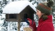 Selbst gebaute Vogelhäuschen sind hübsch anzusehen, aber sie brauchen besondere Pflege. 