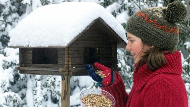 Selbst gebaute Vogelhäuschen sind hübsch anzusehen, aber sie brauchen besondere Pflege.