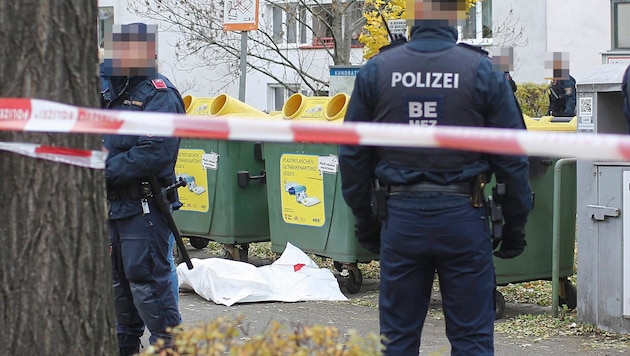 Hier in diesen Mülltonnen wurde die Kleine aus der Klinik entdeckt. (Bild: Bartel Gerhard/Gerhard Bartel, Krone KREATIV)