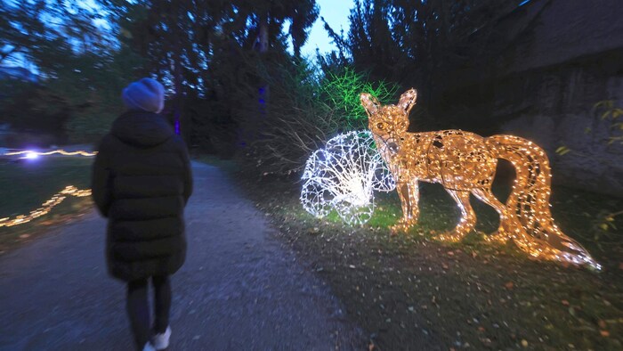 Wenn es dunkel wird über der Tiroler Landeshauptstadt, gehen im Hofgarten die Lichter an. 