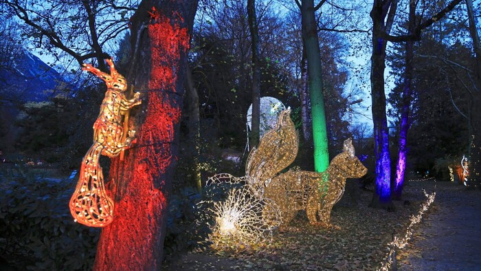 Zahlreiche glitzernde Tiere faszinieren nicht nur Kinder. 