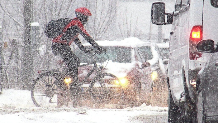 Bei schlechter Sicht ist es oft ratsamer, auf den Vorrang und sein Recht zu verzichten.
