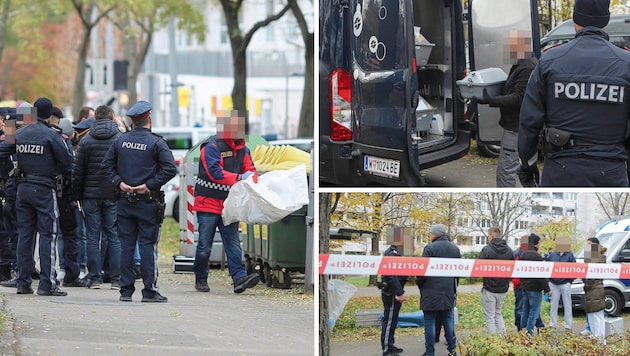 Even for hard-boiled investigators, the search for the missing girl and finally the horrific discovery of the body in a garbage can was difficult to cope with (Bild: Bartel Gerhard/Krone KREATIV)