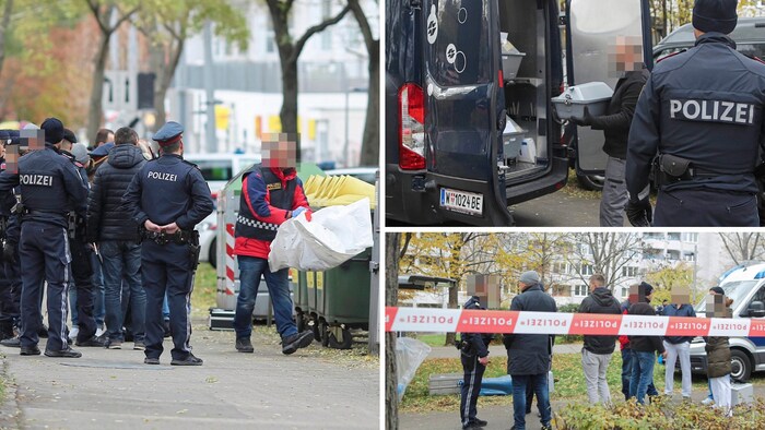 Even hard-boiled investigators found it difficult to cope with the search for the missing girl ...