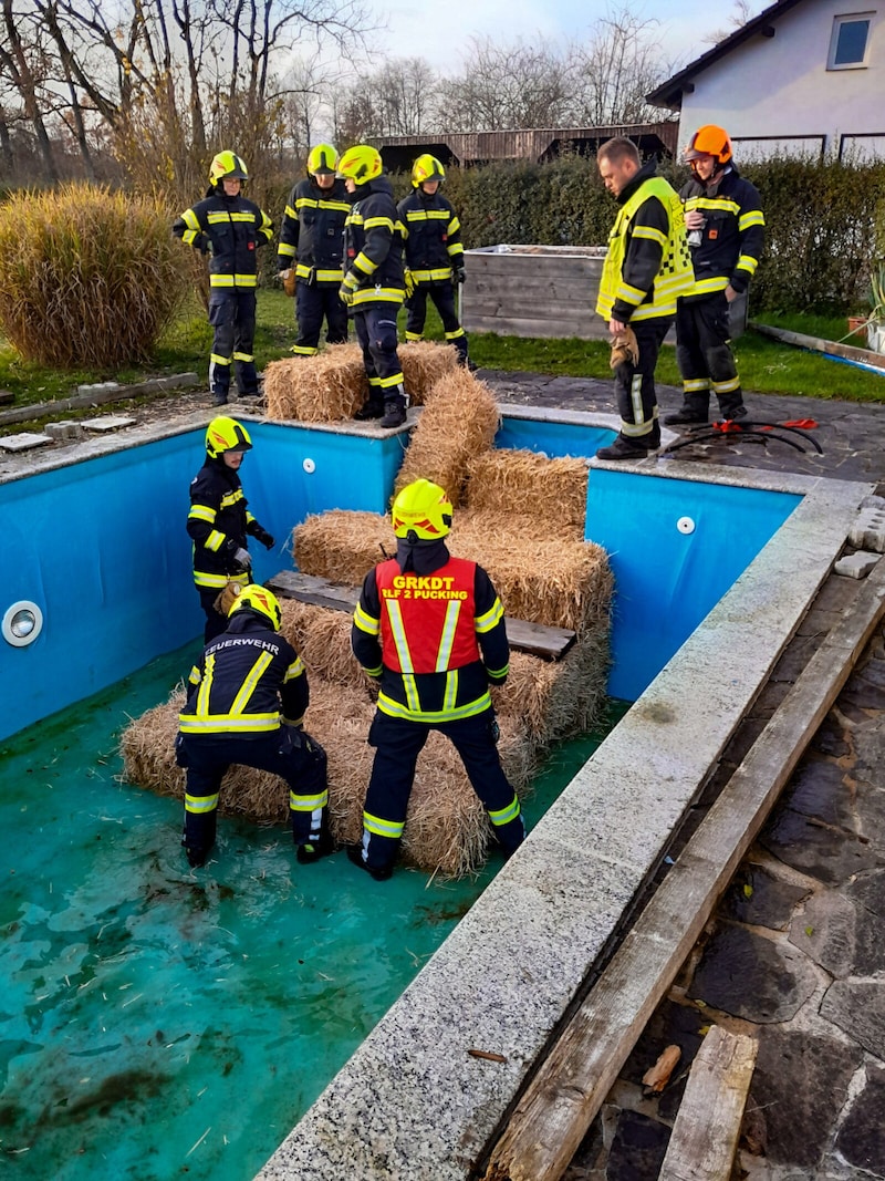 Die Feuerwehrleute bauten eine Rampe. (Bild: Werner Kerschbaummayr/TEAM FOTOKERSCHI / FW PUCKING-HASENUFER / LANG)